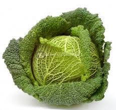 green cabbage - Agromark SL